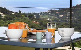 Cap Corse Uribellinu 2 Formule Petit Dejeuner